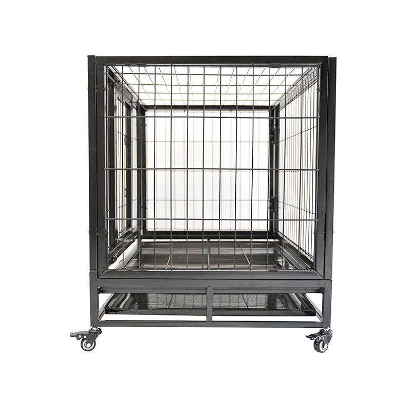 DH120-1 Cage pour chien combinée robuste à 2 portes pour animaux de compagnie