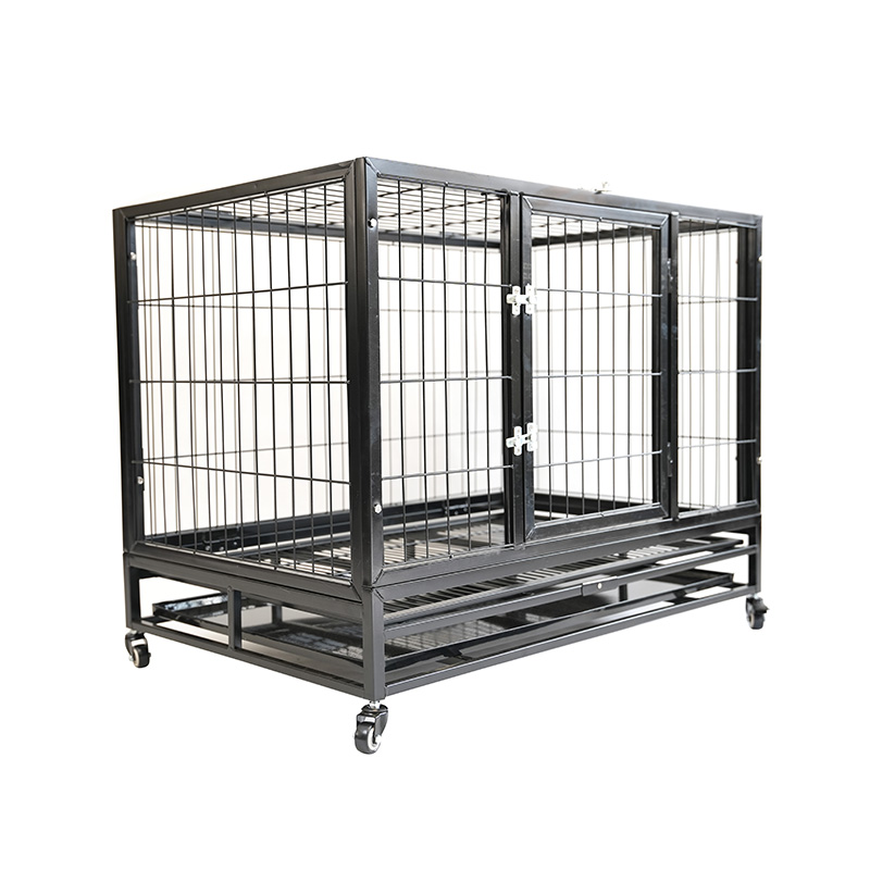 DH120-1 Cage pour chien combinée robuste à 2 portes pour animaux de compagnie