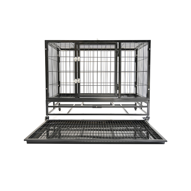 DH120-1 Cage pour chien combinée robuste à 2 portes pour animaux de compagnie