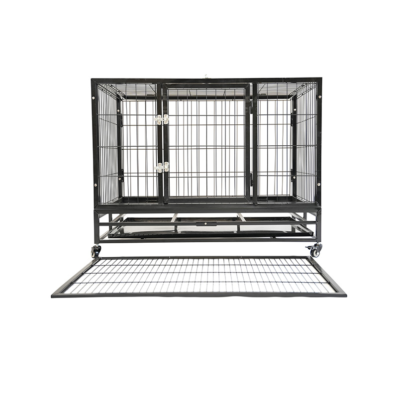 DH120-1 Cage pour chien combinée robuste à 2 portes pour animaux de compagnie