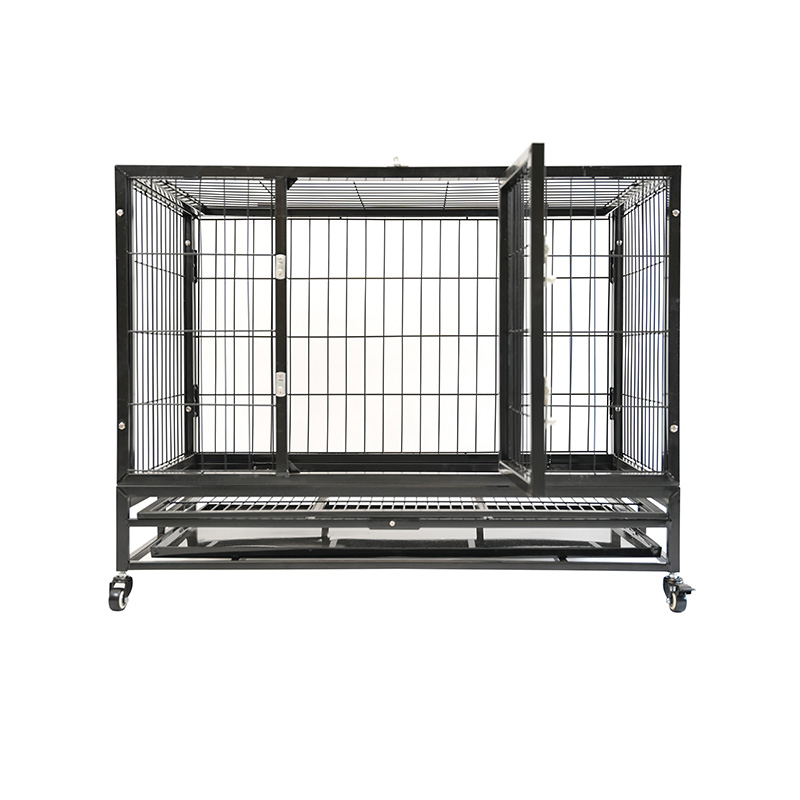 DH120-1 Cage pour chien combinée robuste à 2 portes pour animaux de compagnie