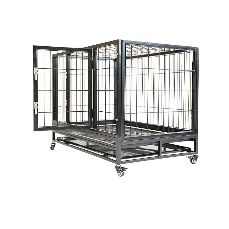 DH120-1 Cage pour chien combinée robuste à 2 portes pour animaux de compagnie