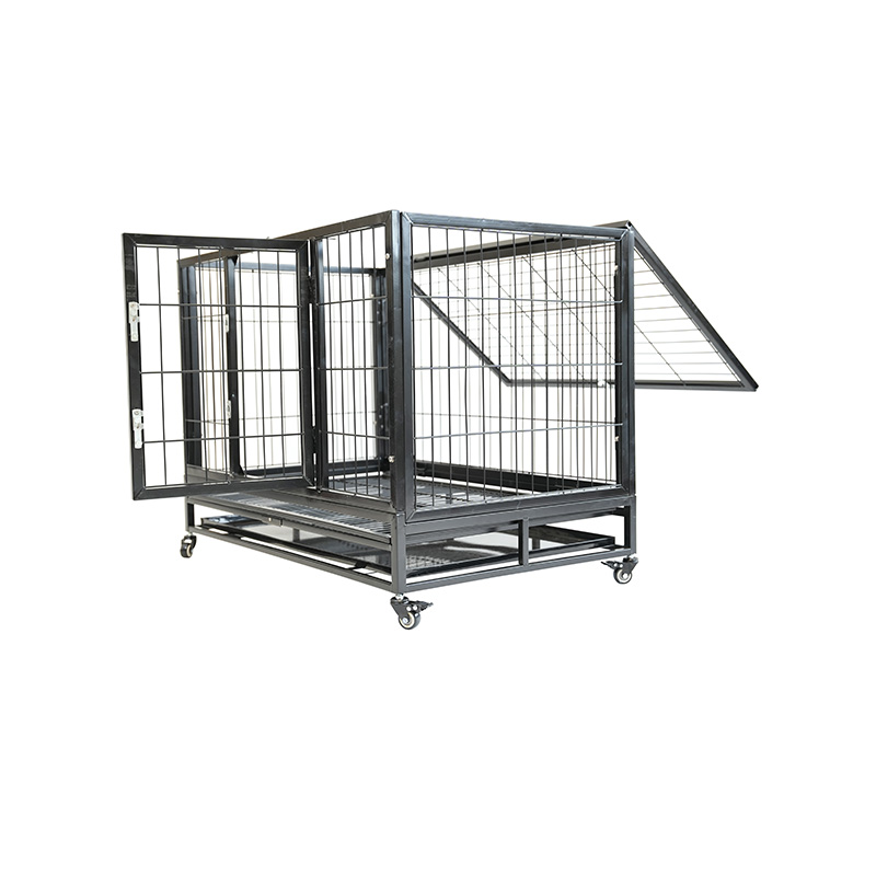 DH120-1 Cage pour chien combinée robuste à 2 portes pour animaux de compagnie