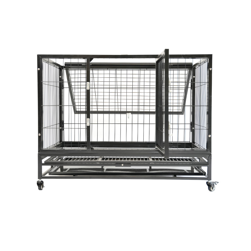 DH120-1 Cage pour chien combinée robuste à 2 portes pour animaux de compagnie