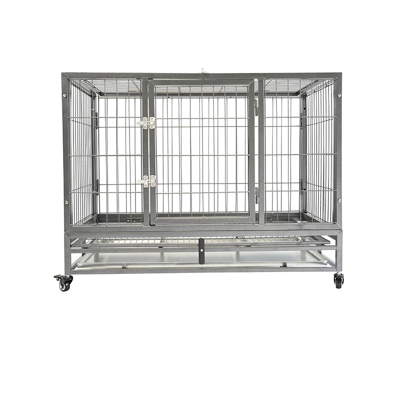 DH120-1 Cage pour chien combinée robuste à 2 portes pour animaux de compagnie