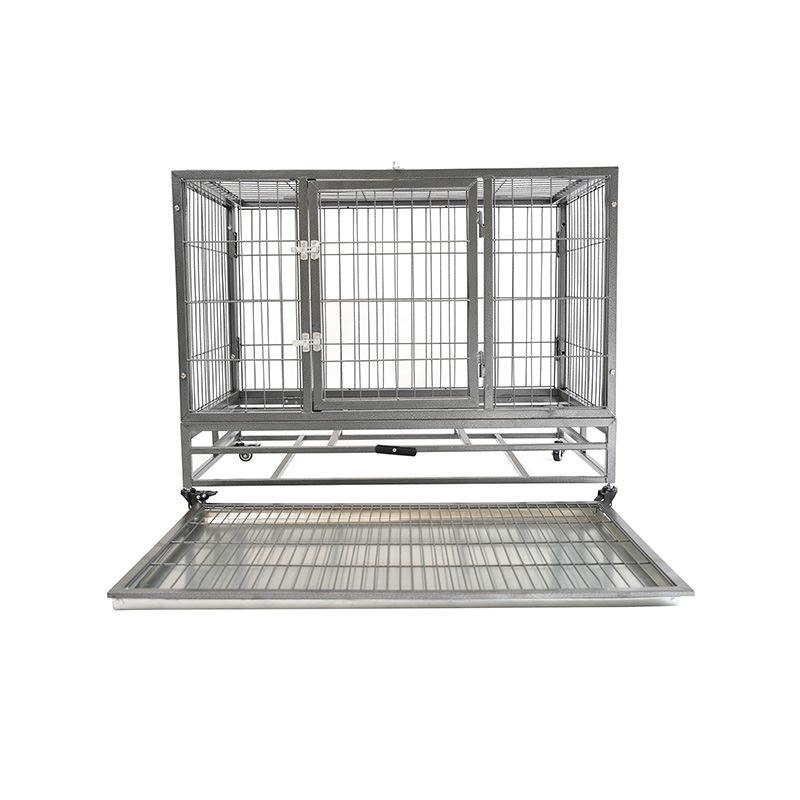 DH120-1 Cage pour chien combinée robuste à 2 portes pour animaux de compagnie