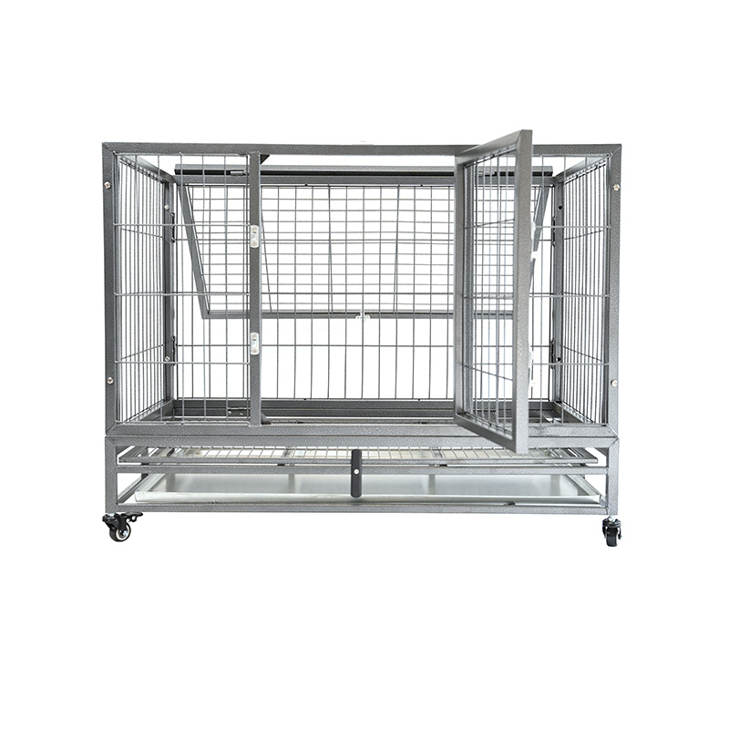 DH120-1 Cage pour chien combinée robuste à 2 portes pour animaux de compagnie