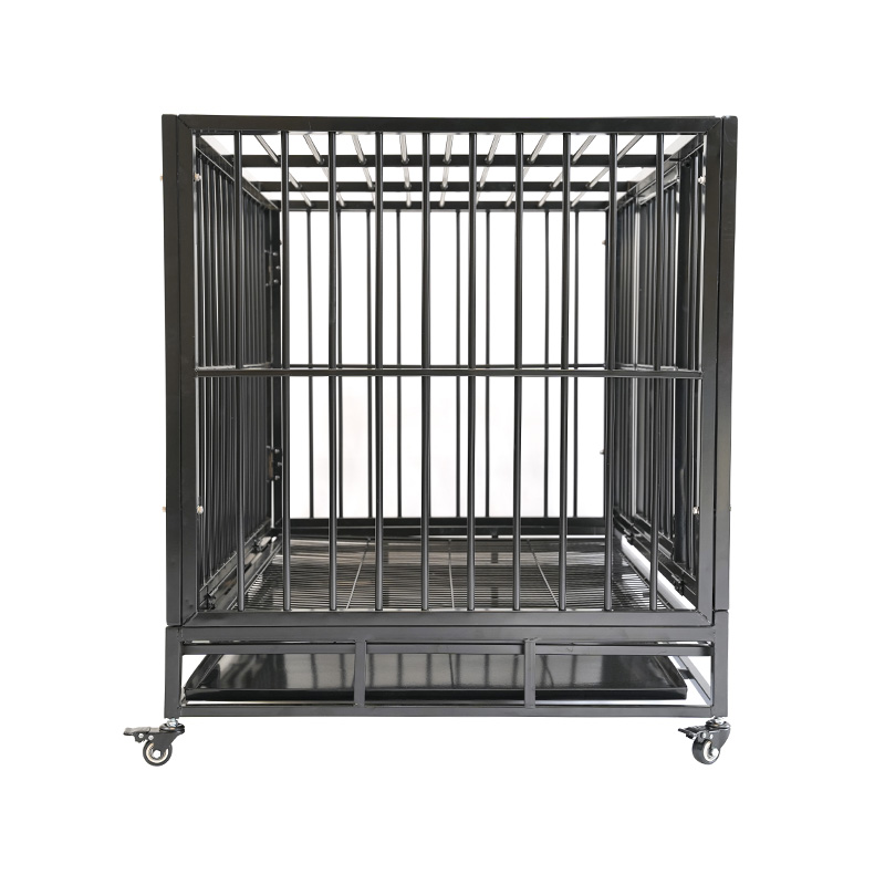 Cage pour animaux de compagnie en métal robuste DH121-3, 2 portes avec plateau en ABS